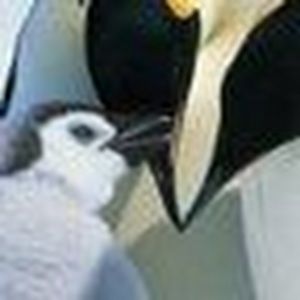 Meet your Posher, Christa